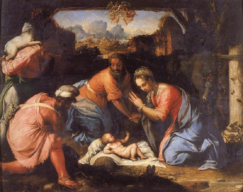 Francesco Salviati The Adoration of the Shepherds Sweden oil painting art